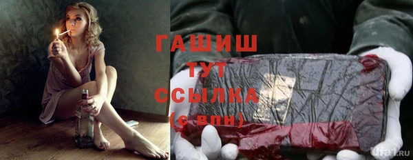a pvp Новозыбков