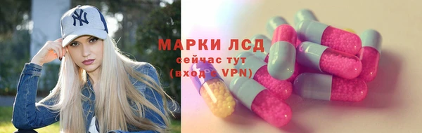 a pvp Новозыбков
