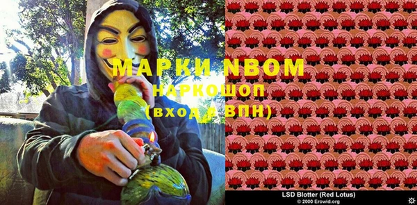 ешки Новокубанск