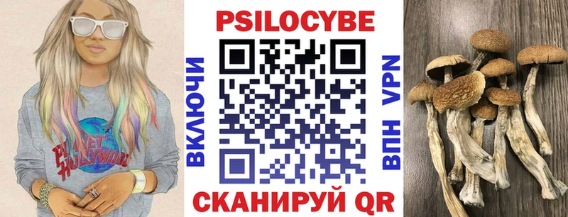 ссылка на мегу маркетплейс  Покачи  Галлюциногенные грибы прущие грибы 